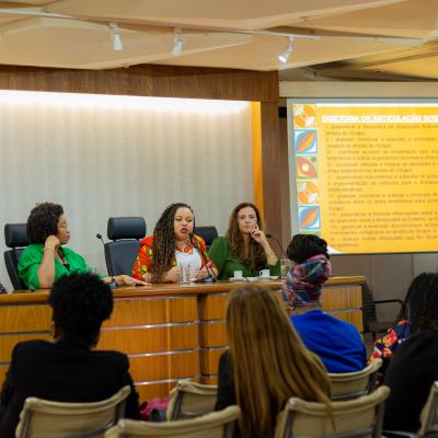 20260204seminarioiaepoliticasdeigualdaderacial Thaylysonsantos 09